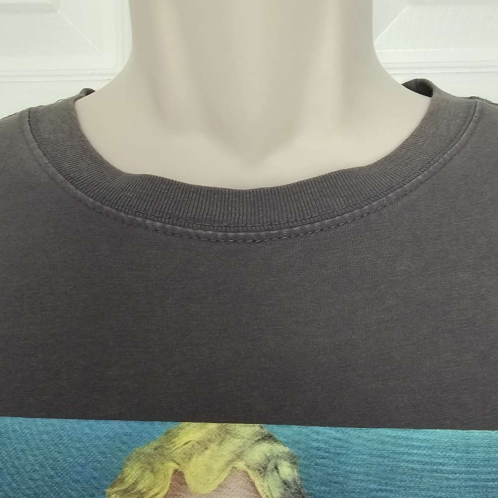 Cardi B "Invasion of Privacy" Album Grey Short Sleeve Graphic T-Shirt Size M - Picture 4 of 12